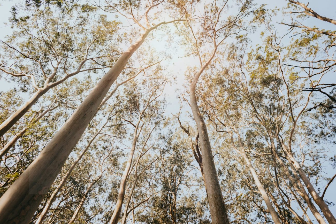 Chaudière à granulés
