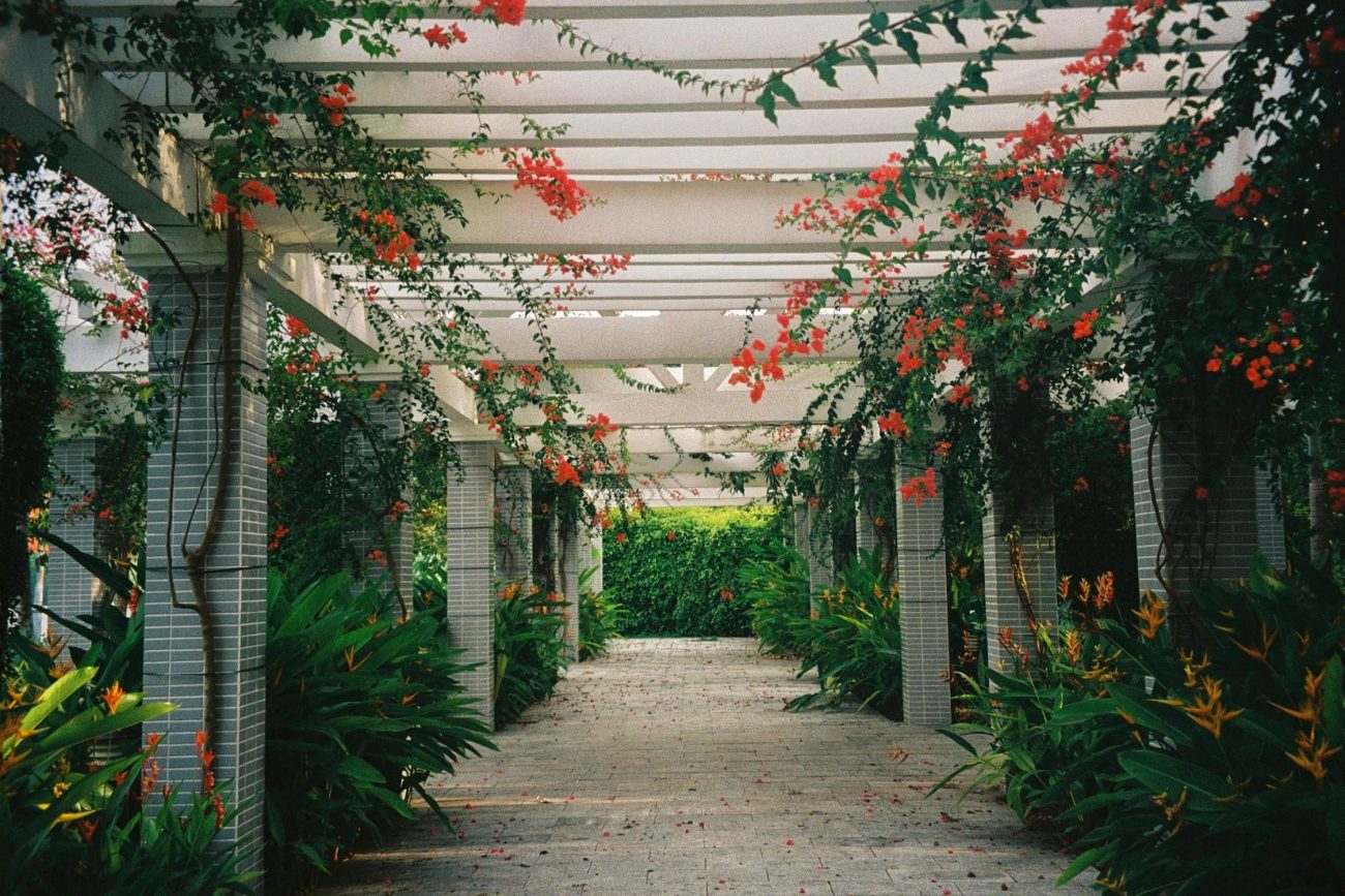 pergola photovoltaïque